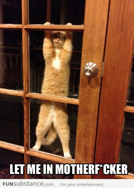 Come on, let me in