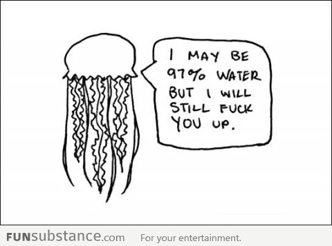 You don't mess with a jellyfish