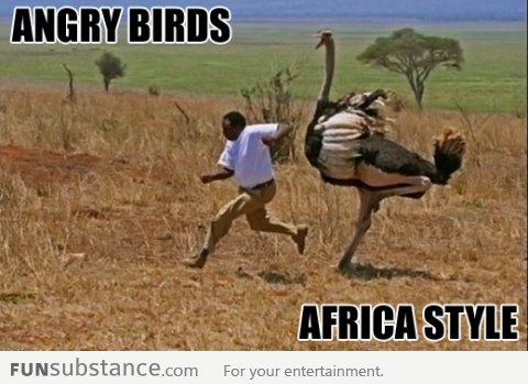 Meanwhile in Africa