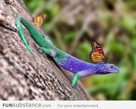 I Swear I Can Feel Something On My Neck