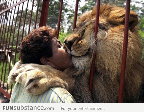 Everybody Needs Some Love