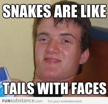 Snakes Are Like