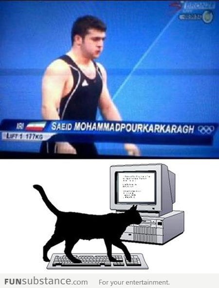 What actually happened