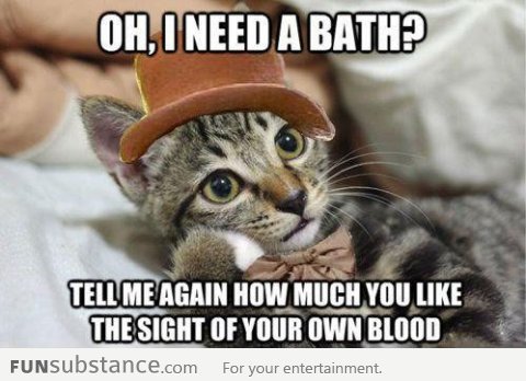 Kitty needs a bath