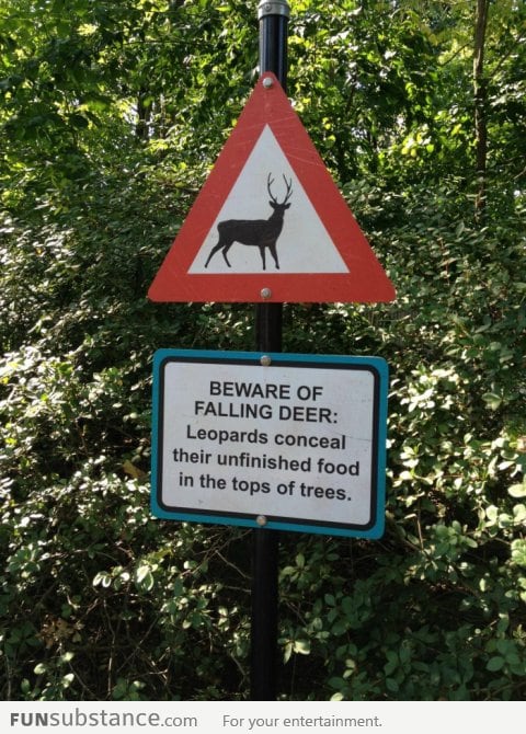 Raining Deer, You've Been Warned