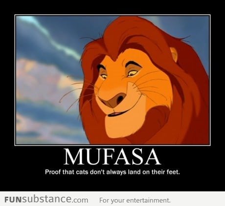 Poor Mufasa.. couldn't land on his feet