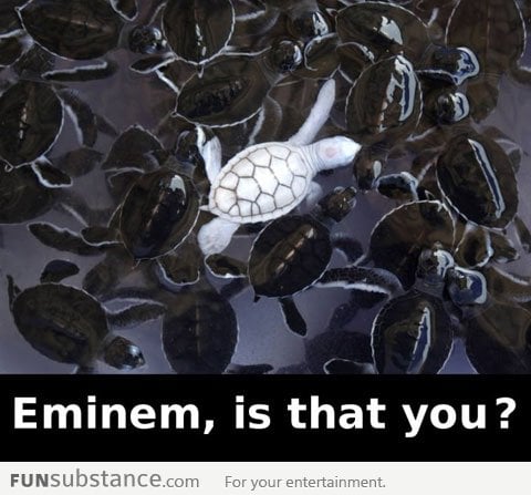 Is that you Eminem?