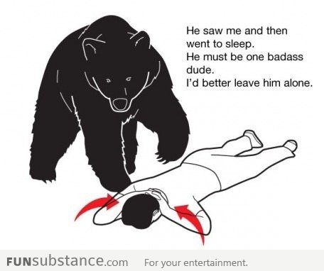 Bear Logic for humans playing dead