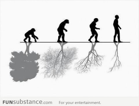 Human Evolution vs. Nature