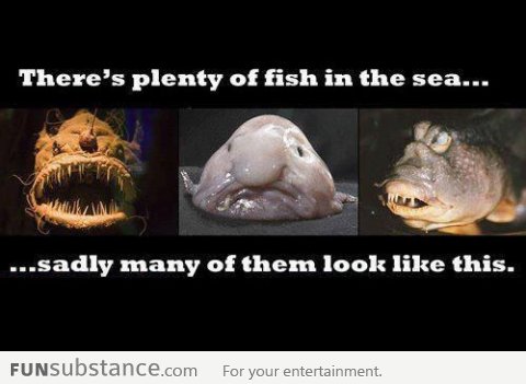 Plenty of fish in the sea