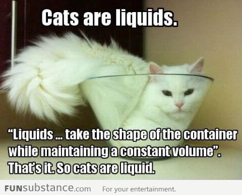 Cats are liquids