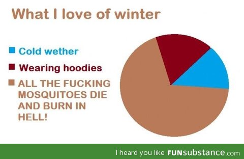 What i love about Winter