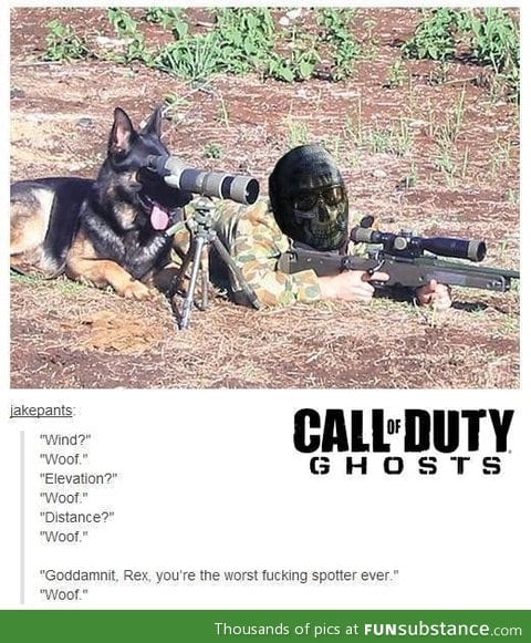 Call of duty woofs