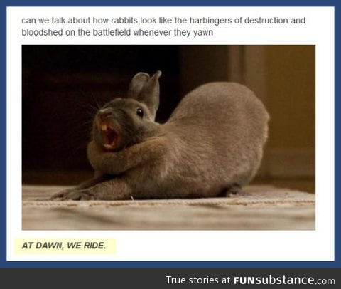 Rabbits can be quite metal