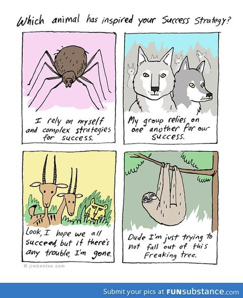 Which animal has inspired your success?
