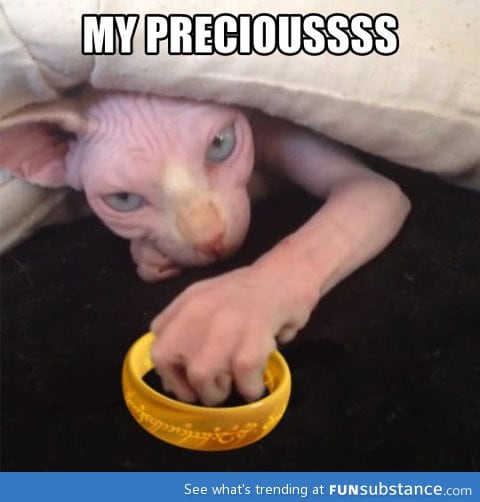 Gollum cat