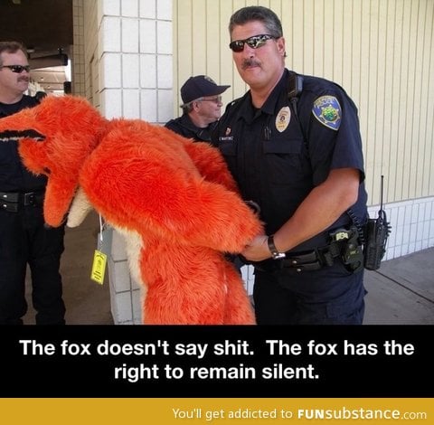 What the fox says