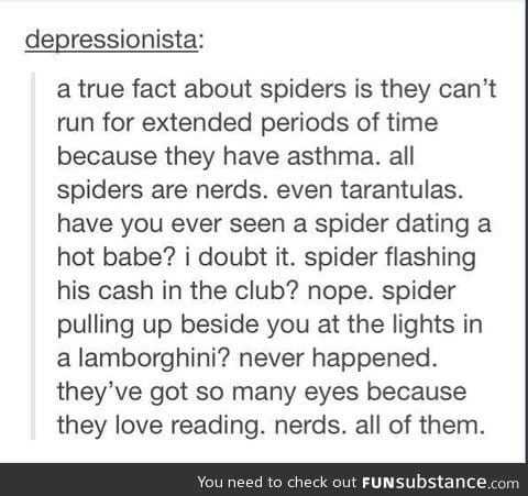 Spiders are nerds