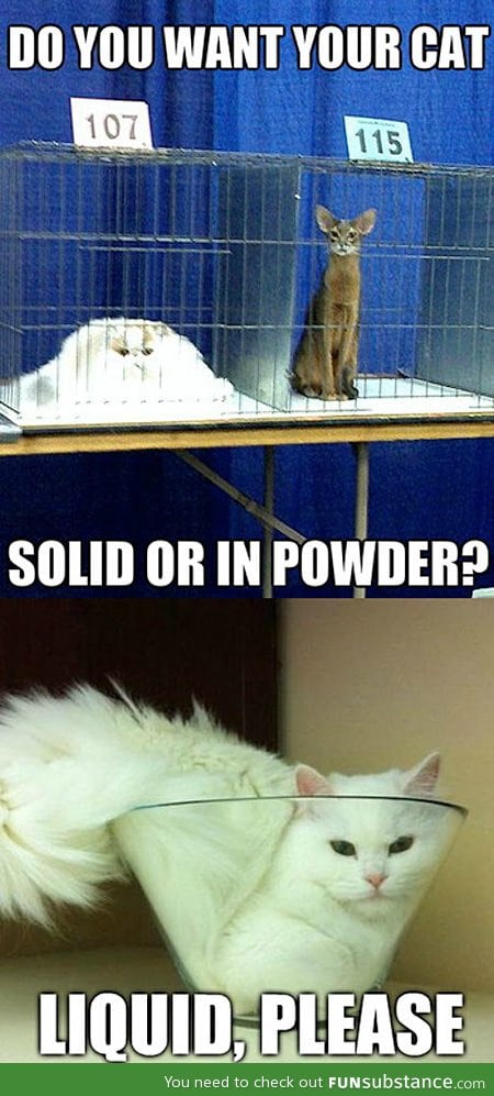 How do you want your cat?