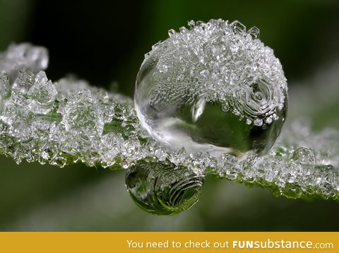 Frozen dew drops