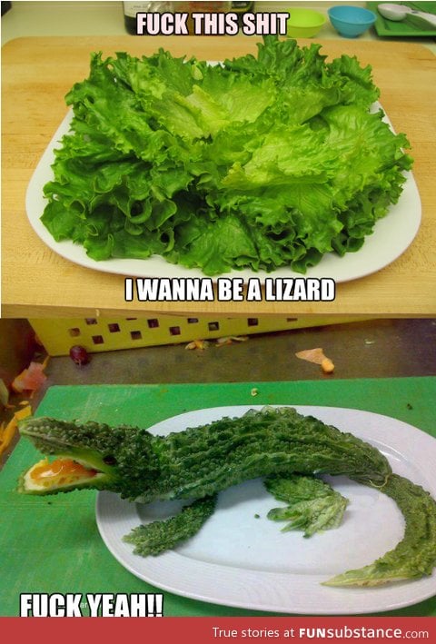 Lettuce to lizard