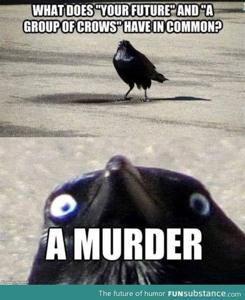 Insanity crow