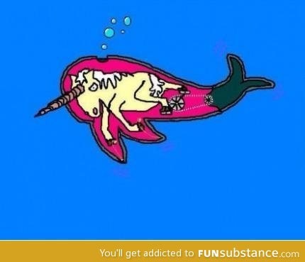 The truth behind narwhals