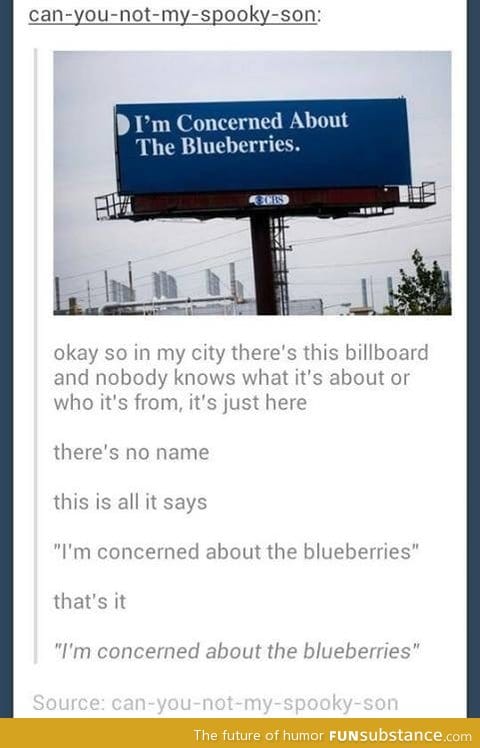 Blueberries