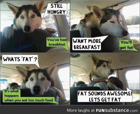 He's not fat he's husky