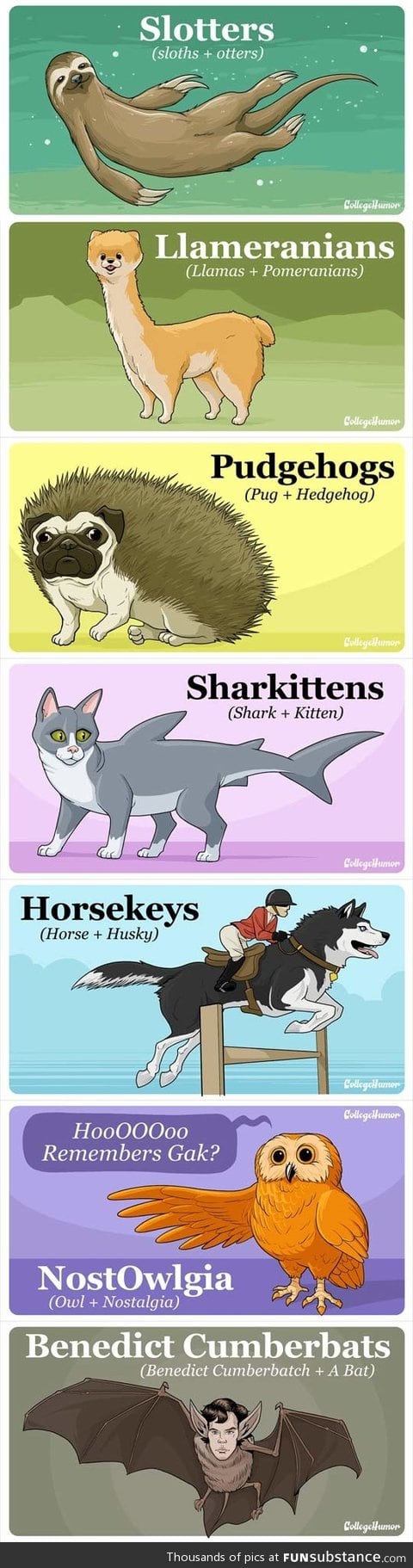 Animal hybrids that would break the internet