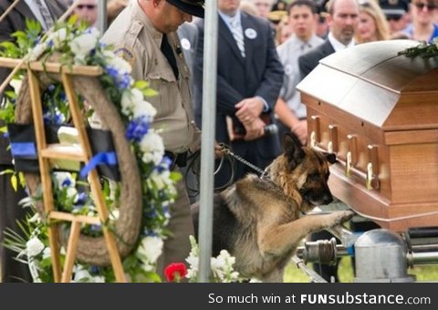 K9 officer saying goodbye to his partner