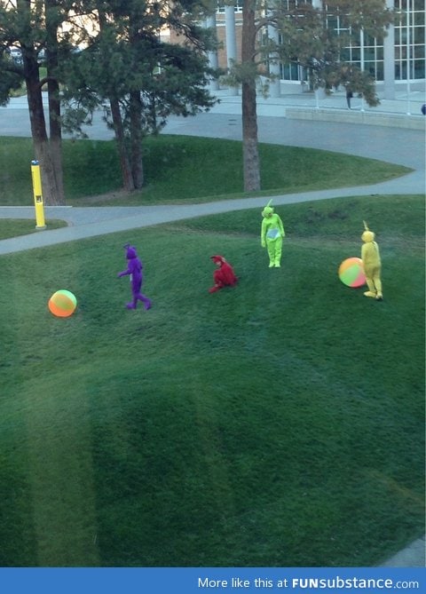 These guys at my university really committed to their group costume