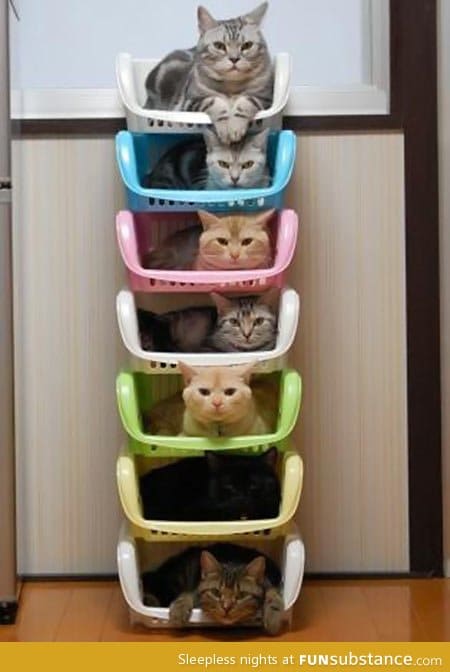 Efficient cat storage