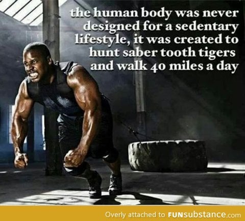 What our bodies were created for