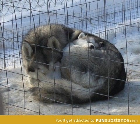 Mom and baby during winter