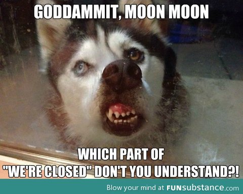 Goddammit, moon moon!