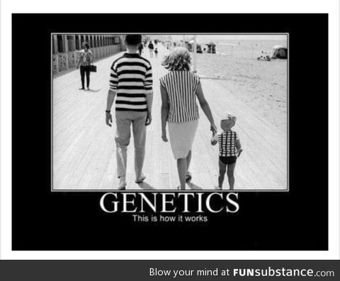 Genetics explained