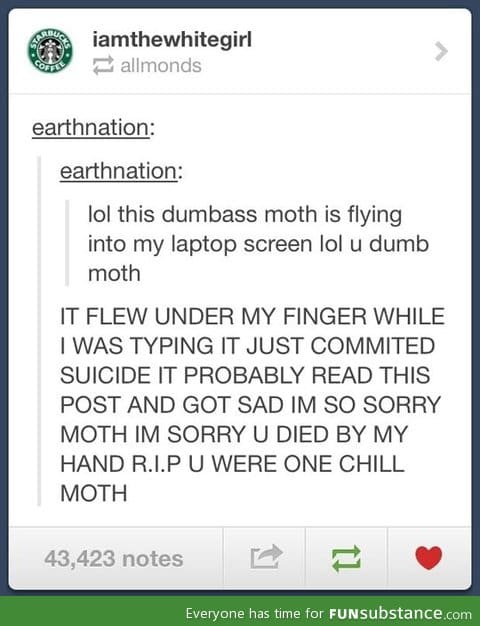 You were one chill moth