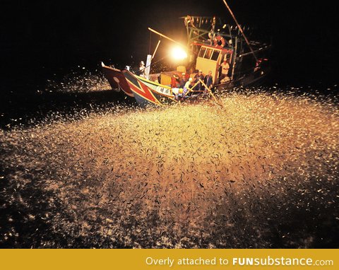 Chinese fishermen using fire to attract fish at night