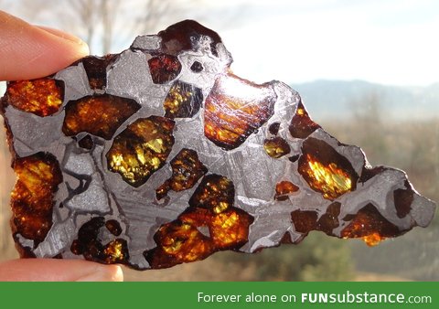 Slice of meteorite