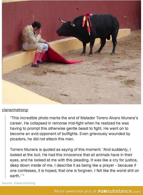 Bullfighting