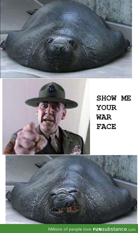 War face