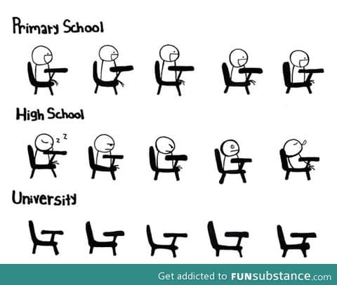 Primary school vs. High school vs. University…