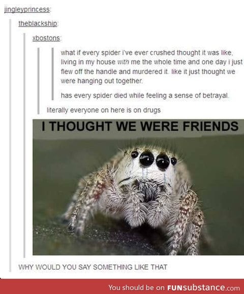 Spider friends