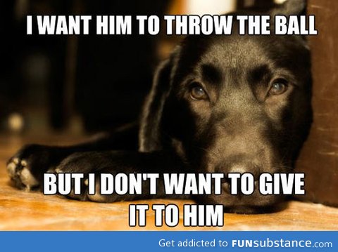 Every dog's logic