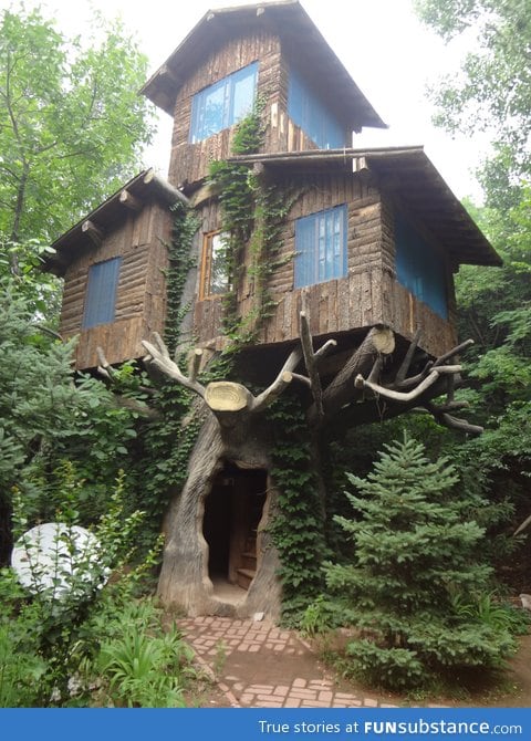 A three-storey treehouse in the woods