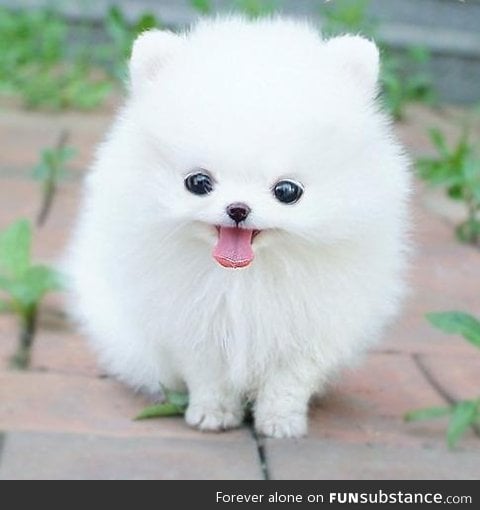 I WANT ONE!