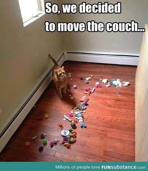 Moving the couch