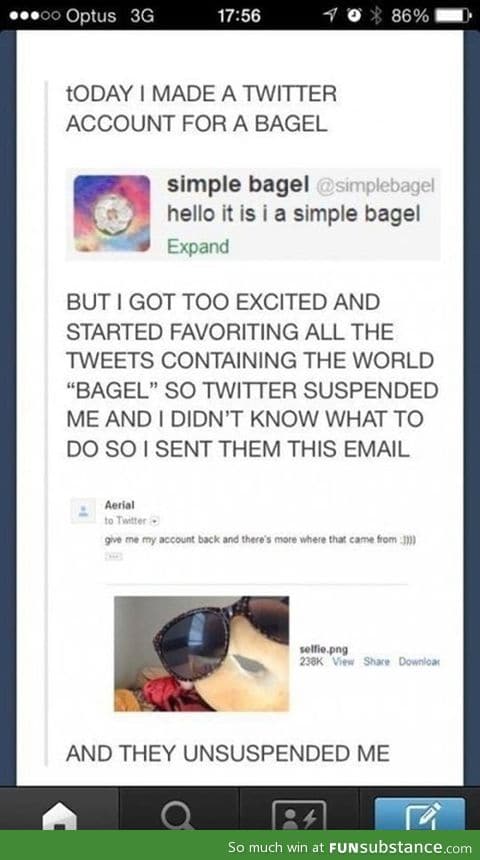 Bagel