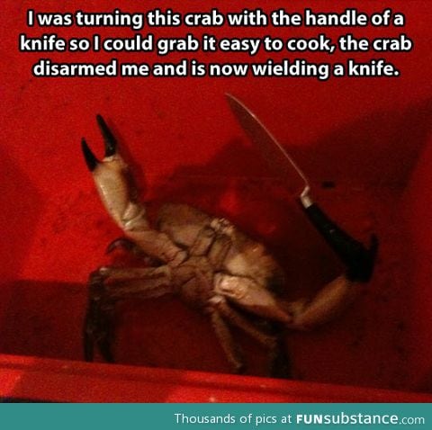 You messed with the wrong crab